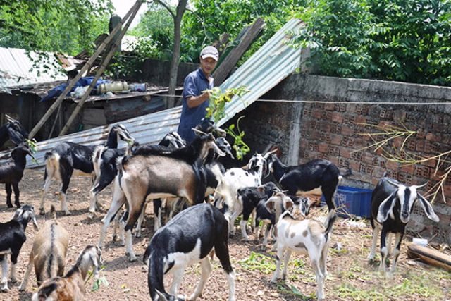 Hộ mới thoát nghèo được vay tới 50 triệu đồng để sản xuất, kinh doanh